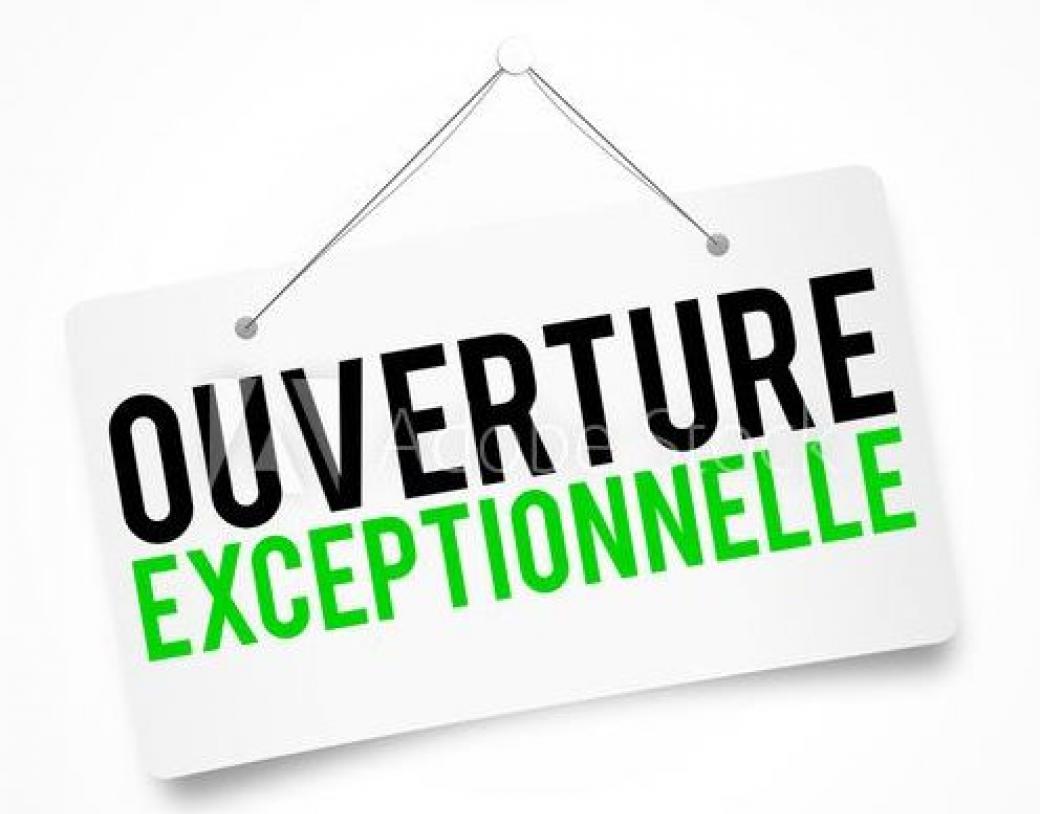 lundi 22 et lundi 29 décembre